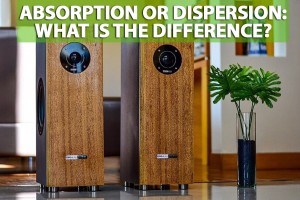 Absorption or dispersion: what is the difference? 