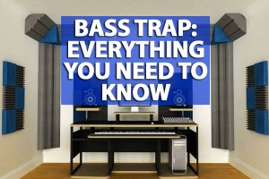 Bass Trap: Everything You Need to Know 